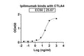 Anti-Human CTLA-4 Reference Antibody (Ipilimumab) – Figure 1 of 2