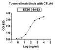 Anti-Human CTLA-4 Reference Antibody (Tuvonralimab) – Figure 1 of 2