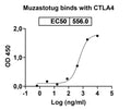 Anti-Human CTLA-4 Reference Antibody (Muzastotug) – Figure 1 of 2