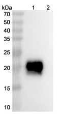 Research Grade Vilastobart – Figure 1 of 3