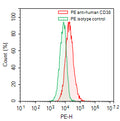 Flow-cytometry using PE anti-human CD38 antibody. RPMI-8226 cells were stained with an irrelevant antibody (Green Histogram) or a PE anti-human CD38 antibody monoclonal antibody (Catalog # HB691127, Red Histogram) at a concentration of 5 µg/ml for 30 mins at RT. After washing, cells analysed on a NovoCyte Flow Cytometer.
