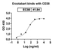 Anti-Human CD38 Reference Antibody (Erzotabart) – Figure 1 of 2