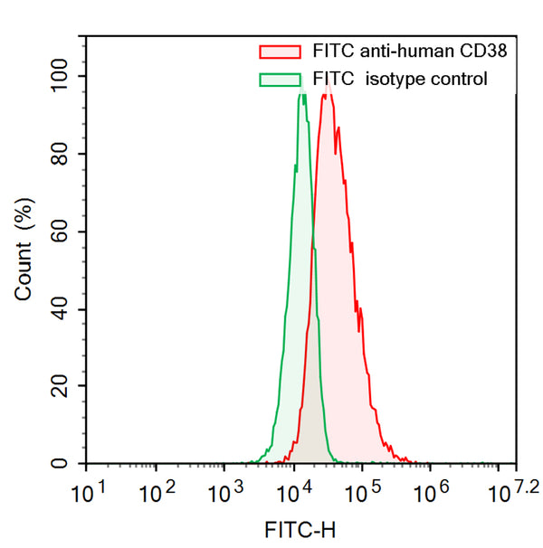 Flow-cytometry using FITC anti-Human CD38 antibody. RPMI-8226 cells were stained with an irrelevant antibody  (Green Histogram) or a FITC anti-Human CD38 antibody monoclonal antibody (Catalog # HB691617 , Red Histogram) at a concentration of 5 µg/ml for 30 mins at RT. After washing, cells analysed on a NovoCyte Flow Cytometer.