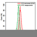 Flow-cytometry using FITC anti-Human CD123 antibody. KG-1 cells were stained with an irrelevant antibody  (Green Histogram) or a FITC anti-Human CD123 antibody monoclonal antibody (Catalog # HB714117 , Red Histogram) at a concentration of 5 µg/ml for 30 mins at RT. After washing, cells analysed on a NovoCyte Flow Cytometer.