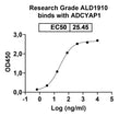 Anti-Human ADCYAP1/PACAP Reference Antibody (Ald1910) – Figure 1 of 1