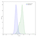 SEC-HPLC detection for Anti-Human CTGF/CCN2 Antibody (ABS2063).