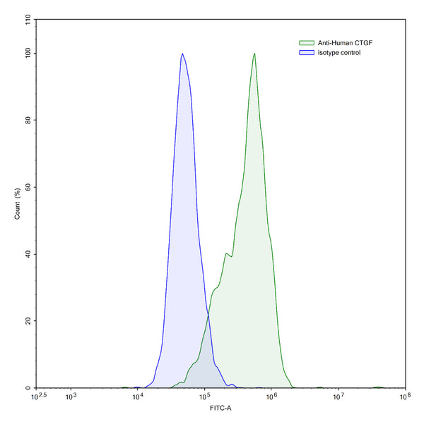 SEC-HPLC detection for Anti-Human CTGF/CCN2 Antibody (ABS2063).