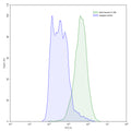 SEC-HPLC detection for Anti-Human IL12B/IL-12 p40/NKSF2 Antibody (ABS0390).