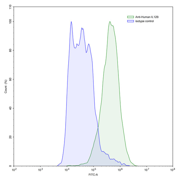 SEC-HPLC detection for Anti-Human IL12B/IL-12 p40/NKSF2 Antibody (ABS0390).