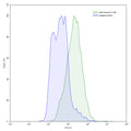 Detects Human IL12B/IL-12 p40/NKSF2 in indirect ELISAs.