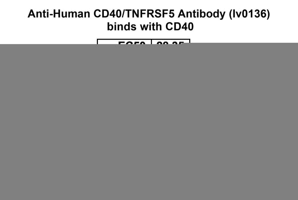 Detects CD40/TNFRSF5 in indirect ELISAs.