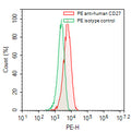Flow-cytometry using PE anti-human CD27 antibody. Raji cells were stained with an irrelevant antibody (Green Histogram) or a PE anti-human CD27 antibody monoclonal antibody (Catalog # HB796127, Red Histogram) at a concentration of 5 µg/ml for 30 mins at RT. After washing, cells analysed on a NovoCyte Flow Cytometer.