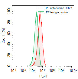 Flow-cytometry using PE anti-human CD27 antibody. Raji cells were stained with an irrelevant antibody (Green Histogram) or a PE anti-human CD27 antibody monoclonal antibody (Catalog # HB796127, Red Histogram) at a concentration of 5 µg/ml for 30 mins at RT. After washing, cells analysed on a NovoCyte Flow Cytometer.