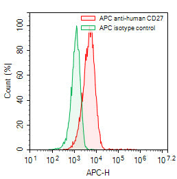 Flow-cytometry using APC anti-human CD27 antibody. Raji cells were stained with an irrelevant antibody (Green Histogram) or an APC anti-human CD27 antibody monoclonal antibody (Catalog # HB796137, Red Histogram) at a concentration of 5 µg/ml for 30 mins at RT. After washing, cells analysed on a NovoCyte Flow Cytometer.