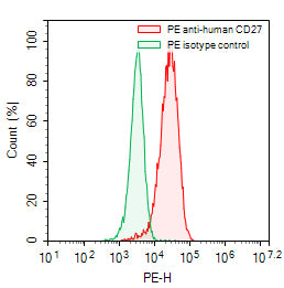 Flow-cytometry using PE anti-human CD27 antibody. Raji cells were stained with an irrelevant antibody (Green Histogram) or a PE anti-human CD27 antibody monoclonal antibody (Catalog # HB796227, Red Histogram) at a concentration of 5 µg/ml for 30 mins at RT. After washing, cells analysed on a NovoCyte Flow Cytometer.