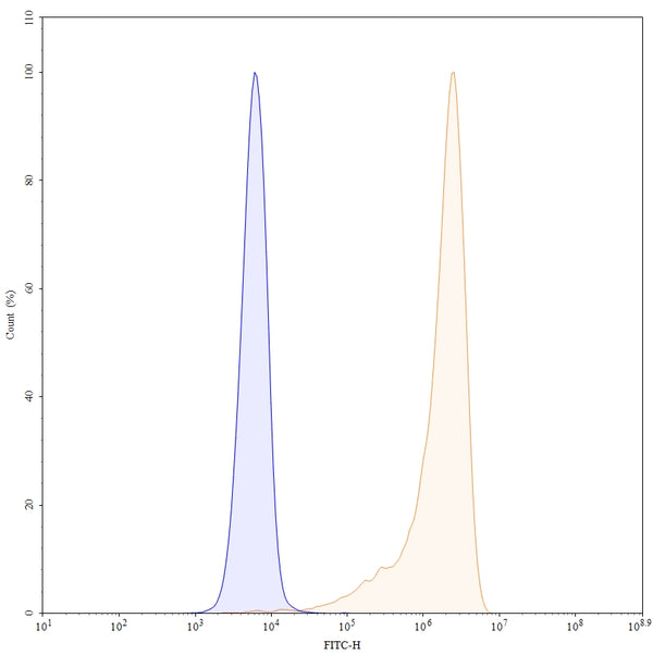 Flow-cytometry using anti-human CD27 antibody. Untransfected cells (blue Histogram) and Transfected cells (Yellow Histogram) were stained with an anti-human CD27 monoclonal antibody (Catalog: HB796307) at a concentration of 5 µg/ml for 30 mins at RT. After washing, bound antibody was detected using a Goat Anti-Human IgG H&L Polyclonal Antibody, FITC (abinScience: HF690414) and cells analysed on a NovoCyte Flow Cytometer.