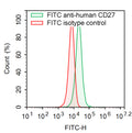 Flow-cytometry using FITC anti-Human CD27 antibody. Raji cells were stained with an irrelevant antibody  (Red Histogram) or a FITC anti-Human CD27 antibody monoclonal antibody (Catalog # HB796317 , Green Histogram) at a concentration of 5 µg/ml for 30 mins at RT. After washing, cells analysed on a NovoCyte Flow Cytometer.