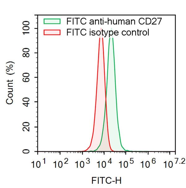 Flow-cytometry using FITC anti-Human CD27 antibody. Raji cells were stained with an irrelevant antibody  (Red Histogram) or a FITC anti-Human CD27 antibody monoclonal antibody (Catalog # HB796317 , Green Histogram) at a concentration of 5 µg/ml for 30 mins at RT. After washing, cells analysed on a NovoCyte Flow Cytometer.