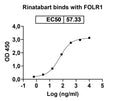 Anti-Human FOLR1 Reference Antibody (Rinatabart) – Figure 1 of 2