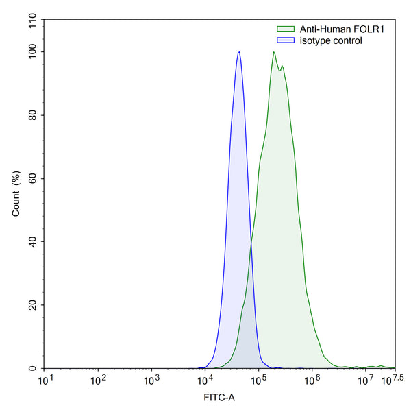 Flow-cytometry using anti-human  FOLR1 antibody.HeLa cells were stained with an irrelevant antibody (Blue Histogram) or an anti-human  FOLR1 antibody monoclonal antibody (Catalog # HB825107 ,Green Histogram) at a concentration of 5 µg/ml for 30 mins at RT. After washing, bound antibody was detected using a FITC conjugated goat anti-human antibody (Catalog # HF690414) and cells analysed on a NovoCyte Flow Cytometer.