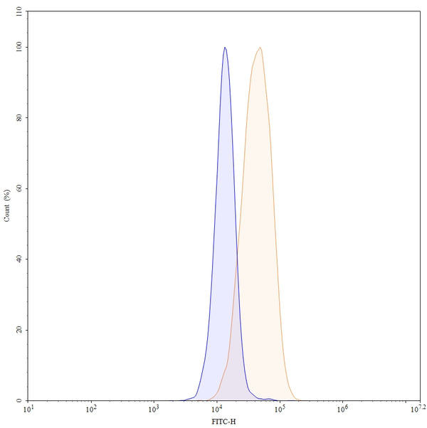 Flow-cytometry using FITC anti-human FOLR1 antibody. Hela cells were stained with an irrelevant antibody (Blue Histogram) or an FITC anti-human FOLR1 monoclonal antibody (Catalog: HB825117, Yellow Histogram) at a concentration of 5 µg/ml for 30 mins at RT. After washing, and cells analysed on a NovoCyte Flow Cytometer.