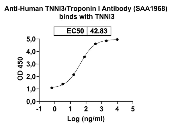 Western blot analysis was performed using anti-TNNI3 monoclonal antibody at 1ug/mL on various samples.
Lane 1: recombinant human TNNI3  (Catalog No: HB830012)
Lane 2: negative control