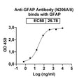 SDS-PAGE for Anti-GFAP Antibody (N206A/8)