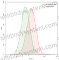 SDS-PAGE for Anti-Human TSHR/LGR3 Antibody (M22)