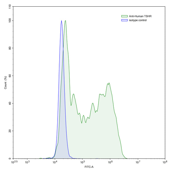 Flow-cytometry using anti-human TSHR antibody.TSHR Transfected CHO cells were stained with an irrelevant antibody (Blue Histogram) or an anti-human TSHR antibody monoclonal antibody (Catalog # HB852207 ,Green Histogram) at a concentration of 5 µg/ml for 30 mins at RT. After washing, bound antibody was detected using a FITC conjugated goat anti-mouse antibody (Catalog # MF690414) and cells analysed on a NovoCyte Flow Cytometer.