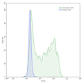 Flow-cytometry using anti-human TSHR antibody.TSHR Transfected CHO cells were stained with an irrelevant antibody (Blue Histogram) or an anti-human TSHR antibody monoclonal antibody (Catalog # HB852407 ,Green Histogram) at a concentration of 5 µg/ml for 30 mins at RT. After washing, bound antibody was detected using a FITC conjugated goat anti-mouse antibody (Catalog # MF690414) and cells analysed on a NovoCyte Flow Cytometer.