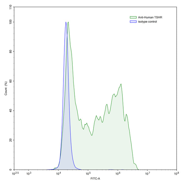 Flow-cytometry using anti-human TSHR antibody.TSHR Transfected CHO cells were stained with an irrelevant antibody (Blue Histogram) or an anti-human TSHR antibody monoclonal antibody (Catalog # HB852407 ,Green Histogram) at a concentration of 5 µg/ml for 30 mins at RT. After washing, bound antibody was detected using a FITC conjugated goat anti-mouse antibody (Catalog # MF690414) and cells analysed on a NovoCyte Flow Cytometer.