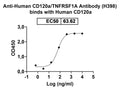 Detects Recombinant Human CD120a/TNFRSF1A Protein, C-His (Cat No.: HB895011) in indirect ELISA.