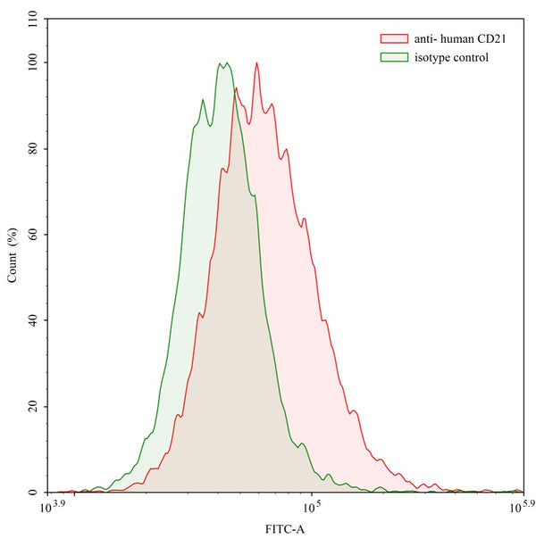Flow-cytometry using anti-human CD21 antibody. Human Jurkat cell line were stained with an irrelevant antibody (Green Histogram) or an anti-human CD21 antibody monoclonal antibody (Catalog # HB939107 , Red Histogram) at a concentration of 20 µg/ml for 30 mins at RT. After washing, bound antibody was detected using a CoraLite488 conjugated goat anti-mouse antibody (Catalog # MF690314) and cells analysed on a NovoCyte Flow Cytometer.