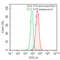 Flow-cytometry using FITC anti-human CD21 antibody. Raji cells were stained with an irrelevant antibody (Green Histogram) or a FITC anti-human CD21 antibody monoclonal antibody (Catalog # HB939117, Red Histogram) at a concentration of 5 µg/ml for 30 mins at RT. After washing, cells analysed on a NovoCyte Flow Cytometer.