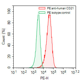 Flow-cytometry using PE anti-human CD21 antibody. Raji cells were stained with an irrelevant antibody (Green Histogram) or a PE anti-human CD21 antibody monoclonal antibody (Catalog # HB939127, Red Histogram) at a concentration of 5 µg/ml for 30 mins at RT. After washing, cells analysed on a NovoCyte Flow Cytometer.
