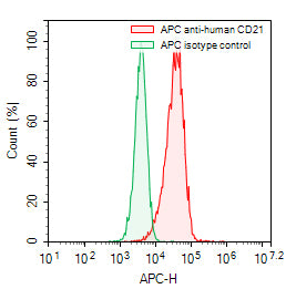 Flow-cytometry using APC anti-human CD21 antibody. Raji cells were stained with an irrelevant antibody (Green Histogram) or an APC anti-human CD21 antibody monoclonal antibody (Catalog # HB939137, Red Histogram) at a concentration of 5 µg/ml for 30 mins at RT. After washing, cells analysed on a NovoCyte Flow Cytometer.