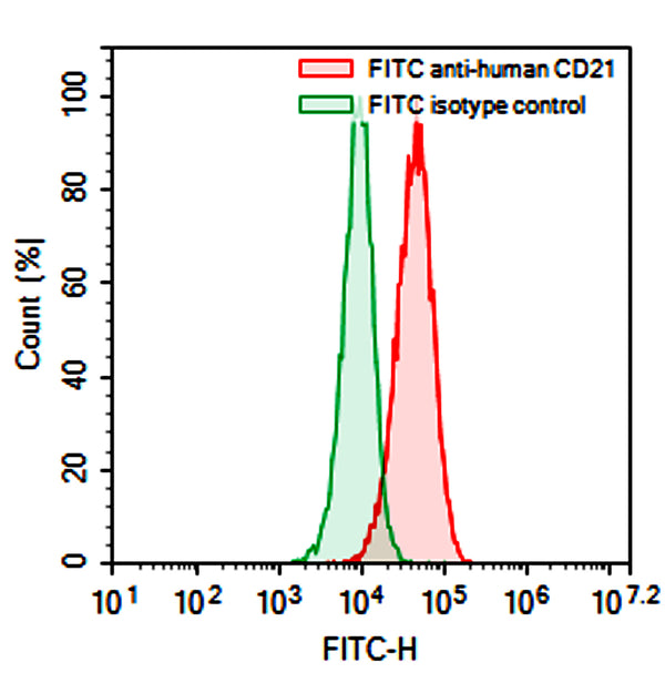 Flow-cytometry using FITC anti-Human CD21 antibody. Raji cells were stained with an irrelevant antibody  (Green Histogram) or a FITC anti-Human CD21 antibody monoclonal antibody (Catalog # HB939317 , Red Histogram) at a concentration of 5 µg/ml for 30 mins at RT. After washing, cells analysed on a NovoCyte Flow Cytometer.