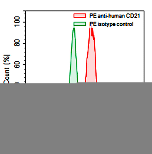 Flow-cytometry using PE anti-Human CD21 antibody. Raji cells were stained with an irrelevant antibody  (Green Histogram) or a PE anti-Human CD21 antibody monoclonal antibody (Catalog # HB939327 , Red Histogram) at a concentration of 5 µg/ml for 30 mins at RT. After washing, cells analysed on a NovoCyte Flow Cytometer.
