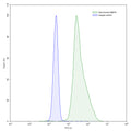 Flow-cytometry using anti-human MMP9 antibody.MMP9 Transfected CHO cells were stained with an irrelevant antibody (Blue Histogram) or an anti-human MMP9 antibody monoclonal antibody (Catalog # HB945107 ,Green Histogram) at a concentration of 5 µg/ml for 30 mins at RT. After washing, bound antibody was detected using a FITC conjugated goat anti-human antibody (Catalog # HF690414) and cells analysed on a NovoCyte Flow Cytometer.