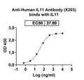 SDS-PAGE for InVivoMAb Anti-Human IL11 Antibody (X203)