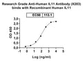 Recombinant Human IL11 Protein, N-His-SUMO