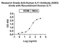 Recombinant Human IL11 Protein, N-GST & C-His