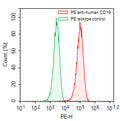 Flow-cytometry using PE anti-human CD19 antibody. Raji cells were stained with an irrelevant antibody (Green Histogram) or a PE anti-human CD19 antibody monoclonal antibody (Catalog # HB996127, Red Histogram) at a concentration of 5 µg/ml for 30 mins at RT. After washing, cells analysed on a NovoCyte Flow Cytometer.