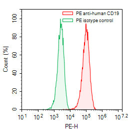 Flow-cytometry using PE anti-human CD19 antibody. Raji cells were stained with an irrelevant antibody (Green Histogram) or a PE anti-human CD19 antibody monoclonal antibody (Catalog # HB996127, Red Histogram) at a concentration of 5 µg/ml for 30 mins at RT. After washing, cells analysed on a NovoCyte Flow Cytometer.