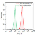 Flow-cytometry using APC anti-human CD19 antibody. Raji cells were stained with an irrelevant antibody (Green Histogram) or an APC anti-human CD19 antibody monoclonal antibody (Catalog # HB996337, Red Histogram) at a concentration of 5 µg/ml for 30 mins at RT. After washing, cells analysed on a NovoCyte Flow Cytometer.
