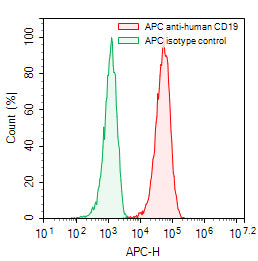 Flow-cytometry using APC anti-human CD19 antibody. Raji cells were stained with an irrelevant antibody (Green Histogram) or an APC anti-human CD19 antibody monoclonal antibody (Catalog # HB996337, Red Histogram) at a concentration of 5 µg/ml for 30 mins at RT. After washing, cells analysed on a NovoCyte Flow Cytometer.