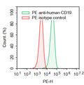 Flow-cytometry using PE anti-Human CD19 antibody. Raji cells were stained with an irrelevant antibody  (Red Histogram) or a PE anti-Human CD19 antibody monoclonal antibody (Catalog # HB996727 , Green Histogram) at a concentration of 5 µg/ml for 30 mins at RT. After washing, cells analysed on a NovoCyte Flow Cytometer.