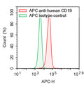 Flow-cytometry using APC anti-Human CD19 antibody. Raji cells were stained with an irrelevant antibody  (Red Histogram) or an APC anti-Human CD19 antibody monoclonal antibody (Catalog # HB996737 , Green Histogram) at a concentration of 5 µg/ml for 30 mins at RT. After washing, cells analysed on a NovoCyte Flow Cytometer.
