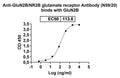 Western blot analysis was performed using anti-GRIN2B  monoclonal antibody at 1ug/mL on various samples.
Lane 1: recombinant human GRIN2B  (Catalog No: HC330012)
Lane 2: negative control