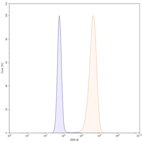 SEC-HPLC detection for Anti-Human CD47/MER6 Antibody (5F9-G4).